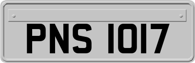 PNS1017
