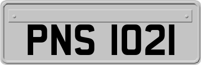 PNS1021
