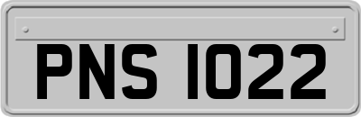 PNS1022