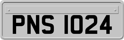 PNS1024