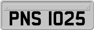 PNS1025