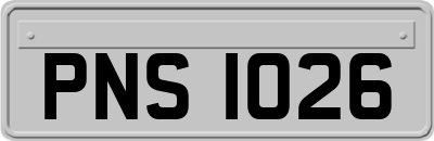 PNS1026