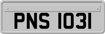 PNS1031
