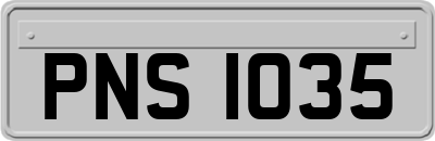 PNS1035