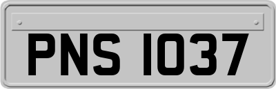 PNS1037