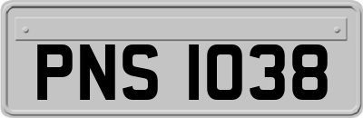 PNS1038