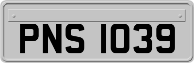 PNS1039