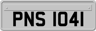 PNS1041