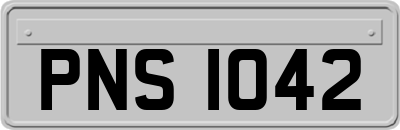 PNS1042