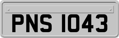 PNS1043