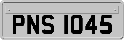PNS1045