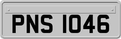 PNS1046