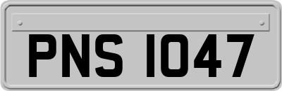 PNS1047