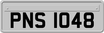 PNS1048