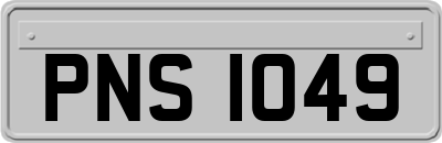 PNS1049