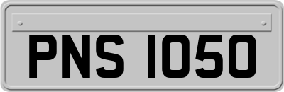 PNS1050