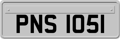 PNS1051