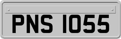 PNS1055