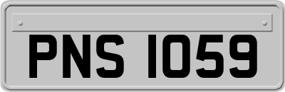 PNS1059