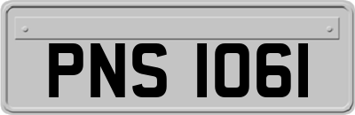 PNS1061