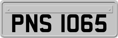 PNS1065