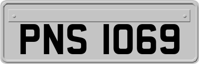 PNS1069