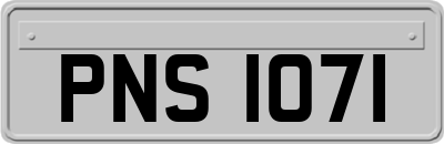PNS1071