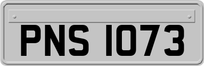 PNS1073