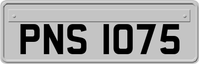 PNS1075