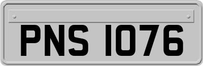 PNS1076