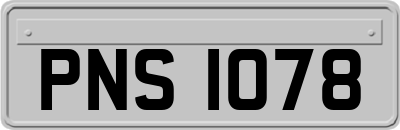 PNS1078