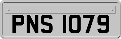 PNS1079