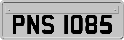 PNS1085