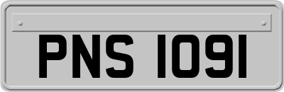 PNS1091