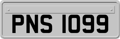 PNS1099