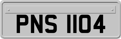 PNS1104