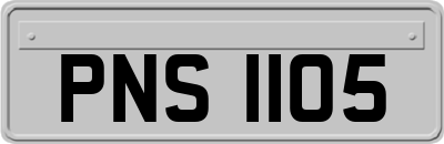 PNS1105