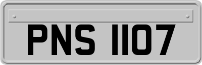 PNS1107