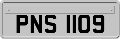 PNS1109