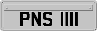 PNS1111