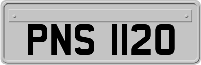 PNS1120