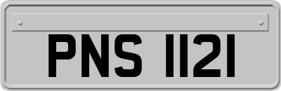 PNS1121