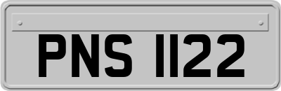 PNS1122