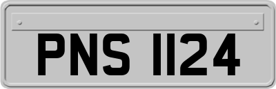 PNS1124