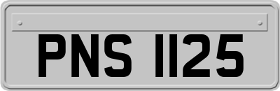 PNS1125