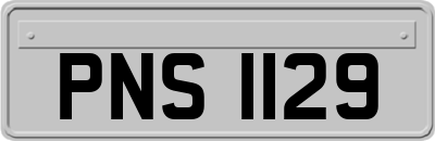 PNS1129