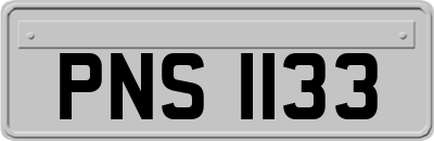 PNS1133