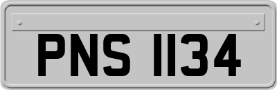 PNS1134