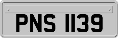 PNS1139