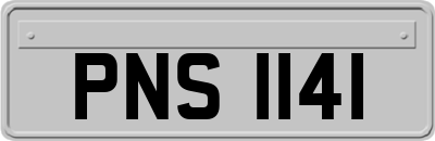 PNS1141